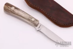 Small Hunter - Stag 6 Small Hunter - Stag -Knives at Knife Center 1605113876 5892