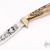 Stag Hunter 2 Stag Hunter -Knives at Knife Center 1650389512 9540
