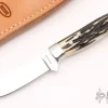 Stag Skinner 2 Stag Skinner -Knives at Knife Center 1661284916 3055