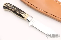 Stag Skinner 6 Stag Skinner -Knives at Knife Center 1661284916 4841