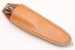 Stag Skinner 7 Stag Skinner -Knives at Knife Center 1661284916 5151