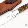Drop Point Hunter - Amber Stag 1 Drop Point Hunter - Amber Stag -Knives at Knife Center 1662564900 4414