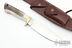Stag Hunter 6 Stag Hunter -Knives at Knife Center 1665064732 9801