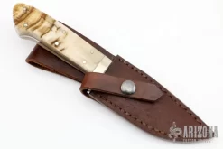 Ram Horn Hunter 7 Ram Horn Hunter -Knives at Knife Center 1666204250 6686
