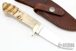Ram Horn Hunter 6 Ram Horn Hunter -Knives at Knife Center 1666204250 8738