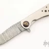 Dressed Framelock Flipper - One Off -Knives at Knife Center 1668716122 0805