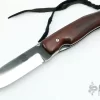 Rosewood Linerlock 2 Rosewood Linerlock -Knives at Knife Center 1669144539 3769