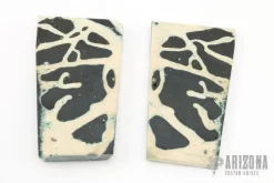 Fossil Mammoth Brain Bone & Resin Slabs