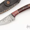 Damascus Skinner -Knives at Knife Center 1674153181 8585
