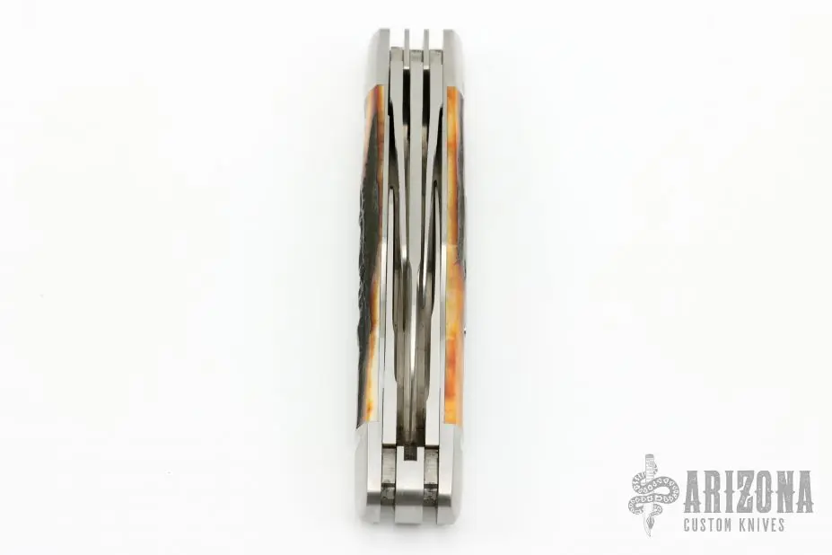 Five-Blade Congress 6 Five-Blade Congress - Image 4