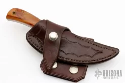 Raised Point Skinner 7 Raised Point Skinner -Knives at Knife Center 1678734621 4802