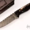 Damascus Drop Point Hunter 2 Damascus Drop Point Hunter -Knives at Knife Center y y 29367